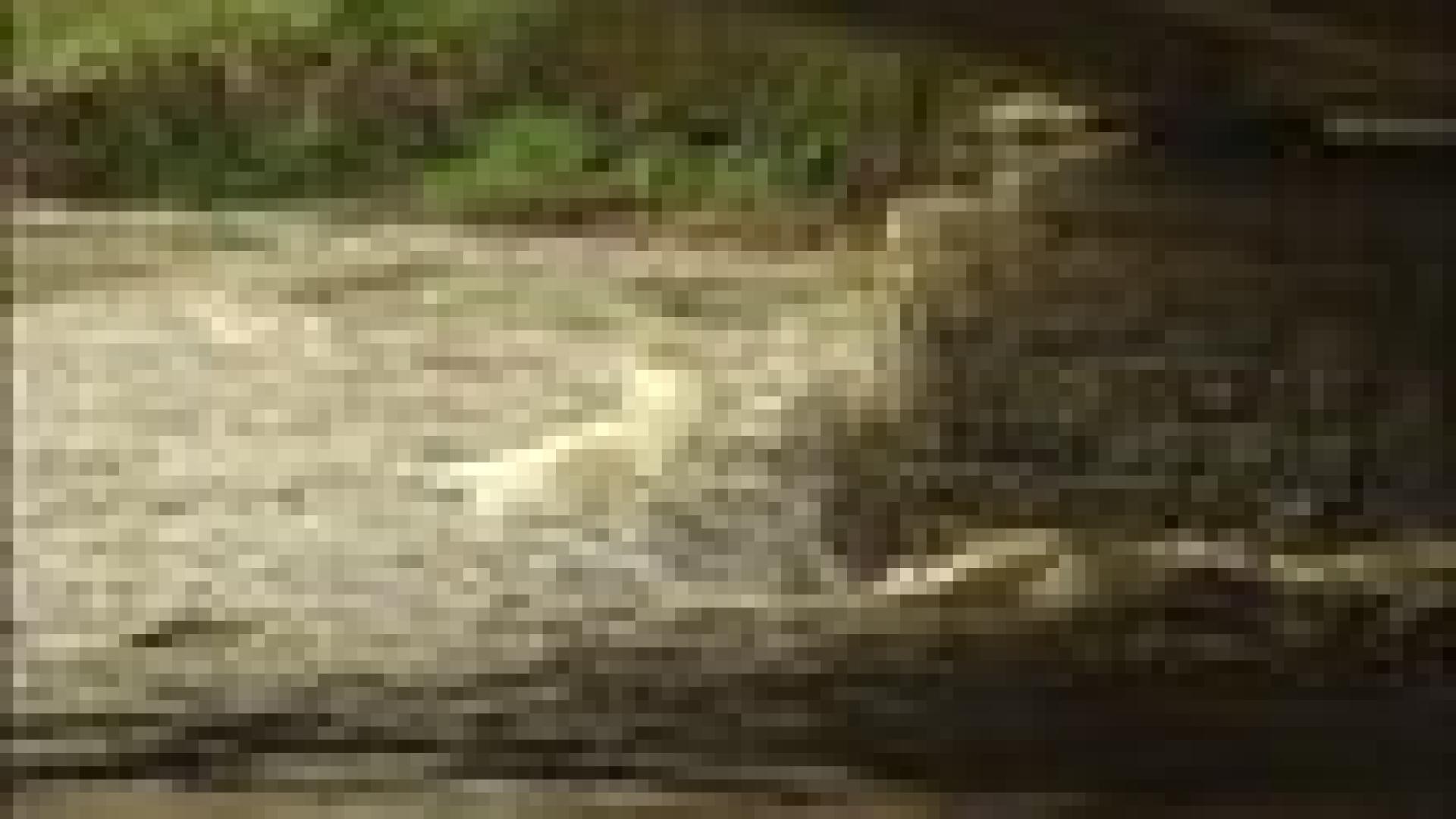 Fortes pluies mais pas d'inondation en région liégeoise